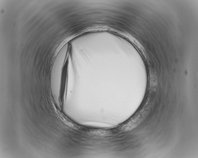 X0000067000953200604241401