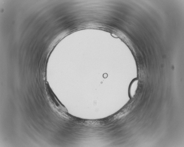 X0000067000954200604241401