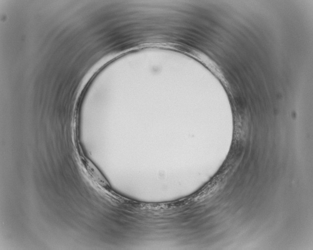 X0000067000955200604241401