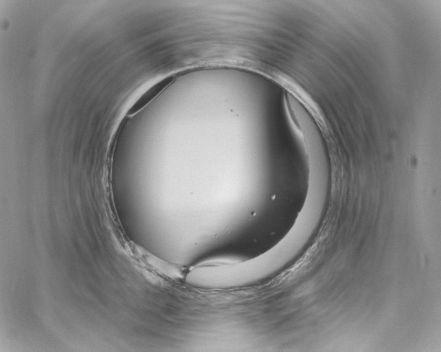 X0000067000956200604241401