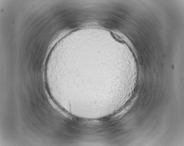 X0000067000957200604241401