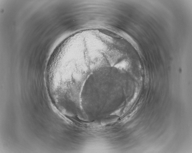 X0000067000958200604241401