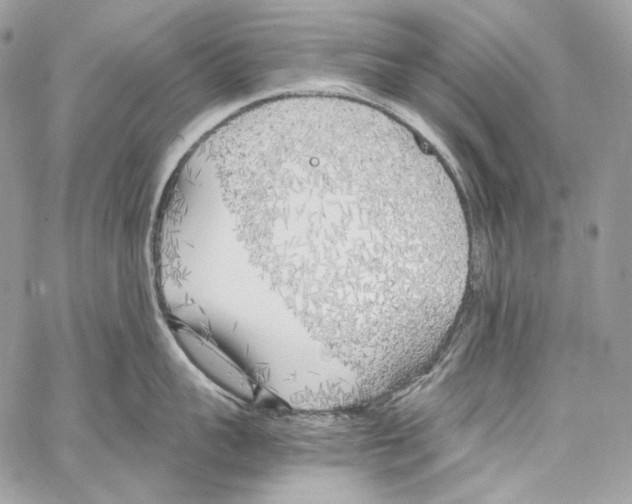 X0000067000959200604241401