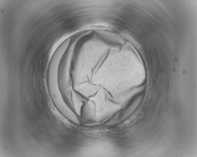 X0000067000960200604241401