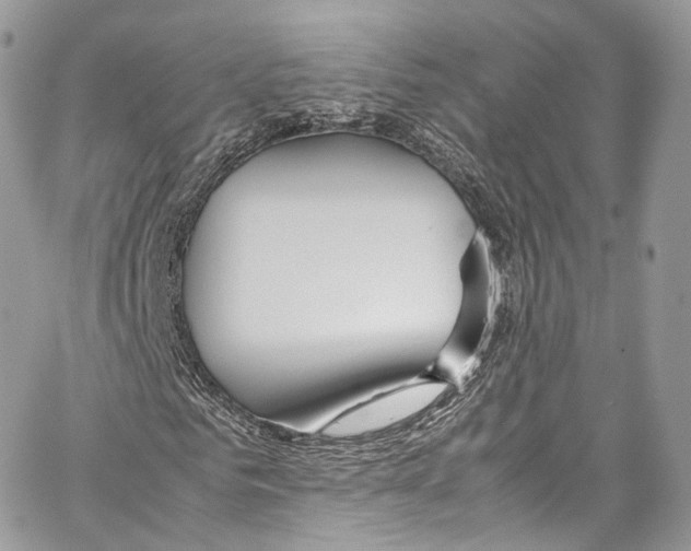 X0000067000961200604241400