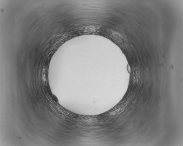 X0000067000962200604241400