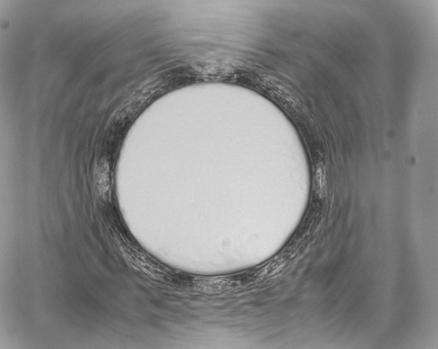 X0000067000963200604241400