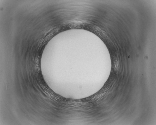 X0000067000964200604241400