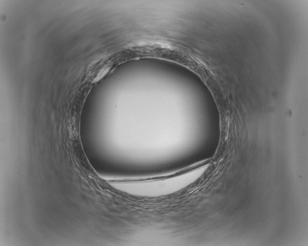 X0000067000965200604241400