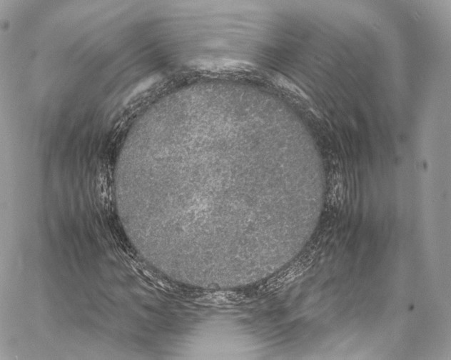 X0000067000966200604241400