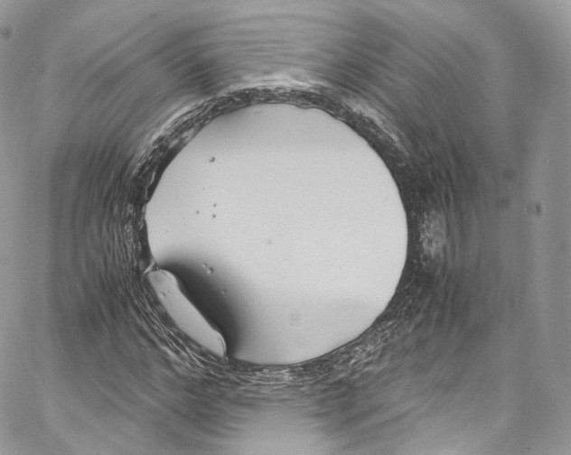 X0000067000968200604241400