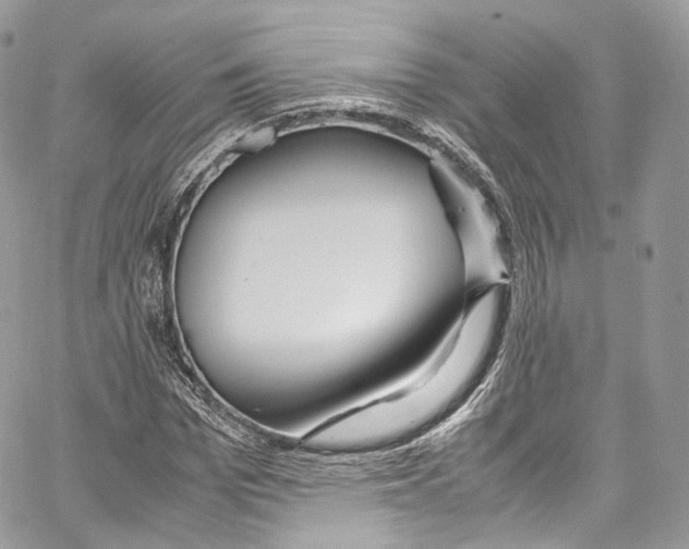 X0000067000969200604241400