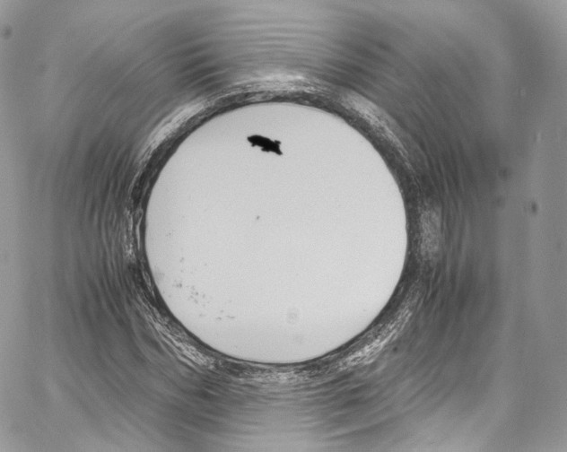 X0000067000970200604241400