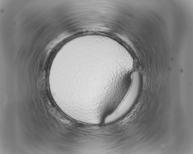 X0000067000971200604241400