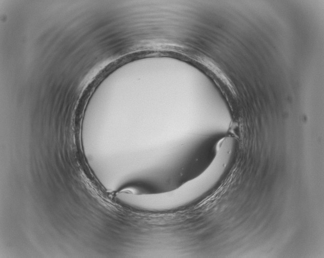 X0000067000972200604241400