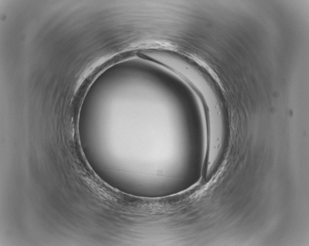 X0000067000973200604241400