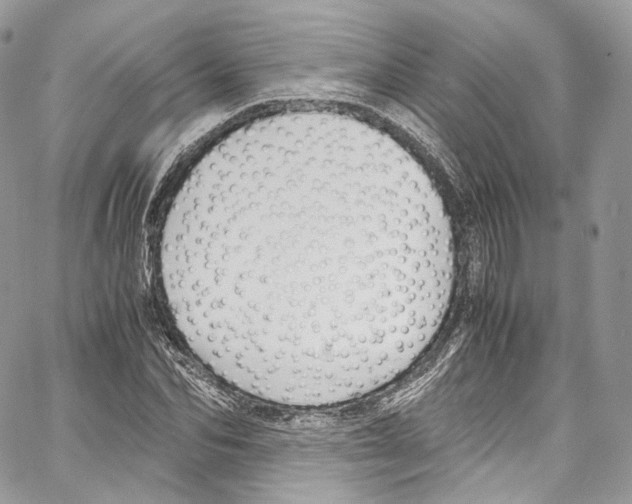 X0000067000974200604241400