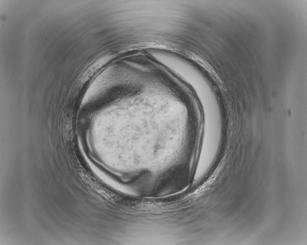 X0000067000977200604241400