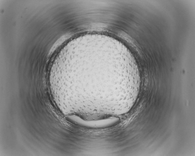 X0000067000978200604241400