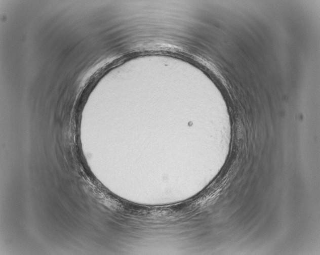 X0000067000979200604241400