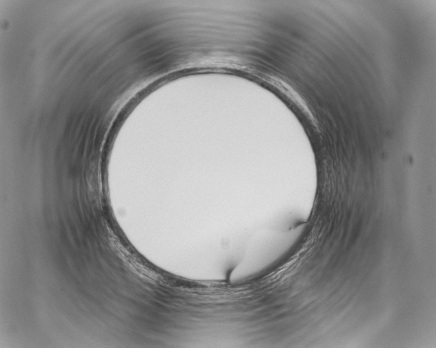 X0000067000980200604241400