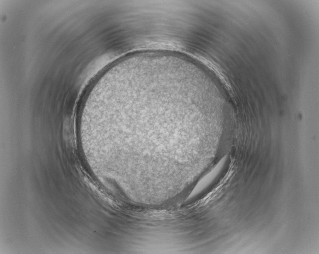 X0000067000982200604241400