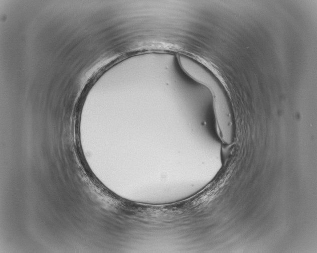 X0000067000987200604241400