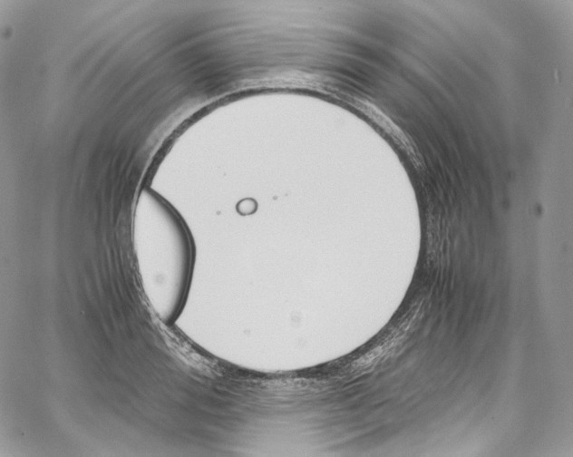 X0000067000988200604241400