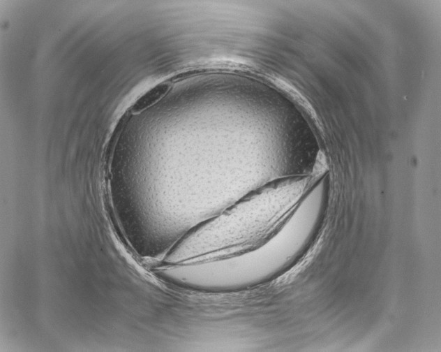 X0000067000989200604241400