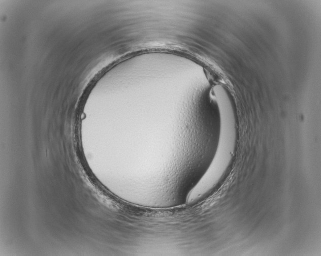 X0000067000991200604241400