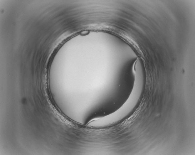 X0000067000992200604241400