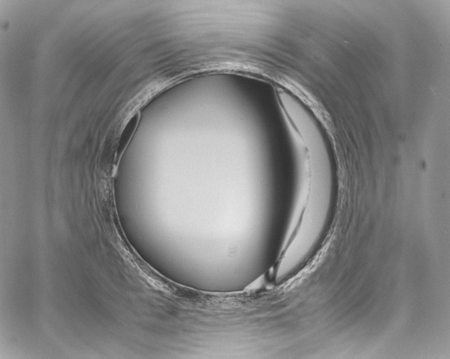 X0000067000993200604241400