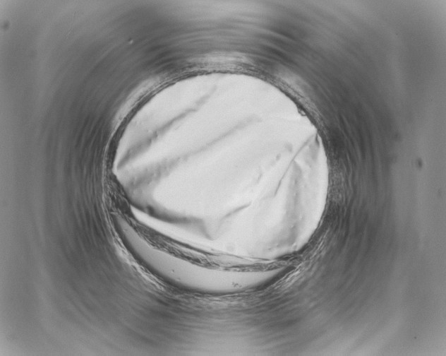 X0000067000994200604241359