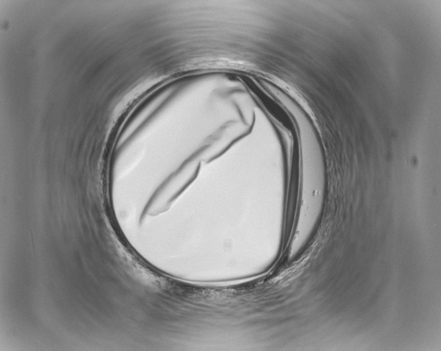 X0000067000995200604241359