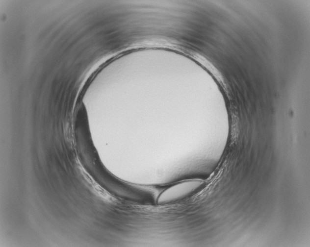 X0000067000996200604241359