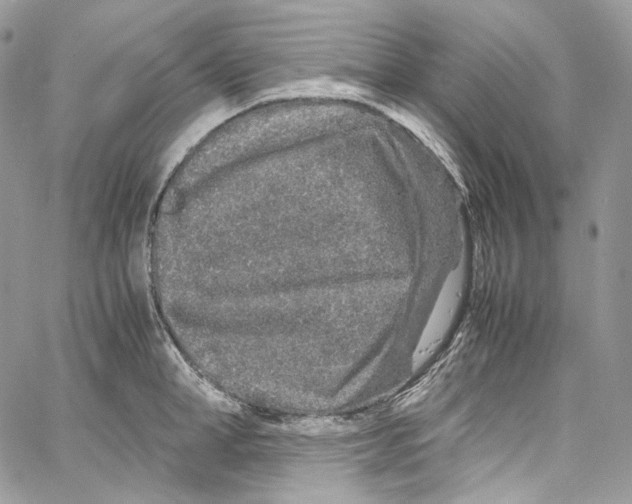 X0000067000998200604241359