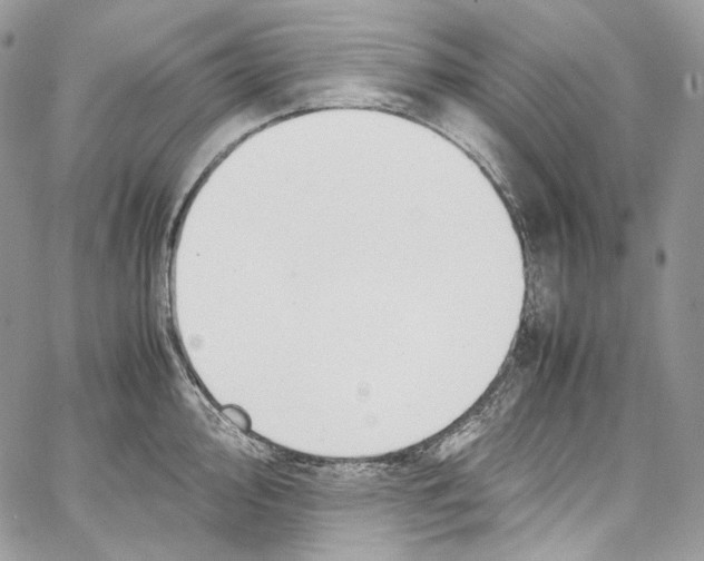 X0000067001000200604241359