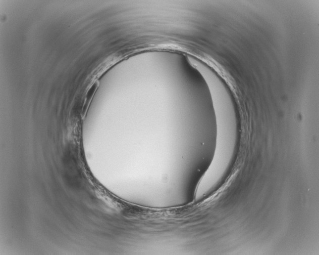 X0000067001001200604241359