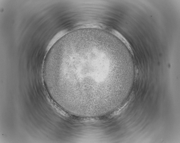 X0000067001002200604241359