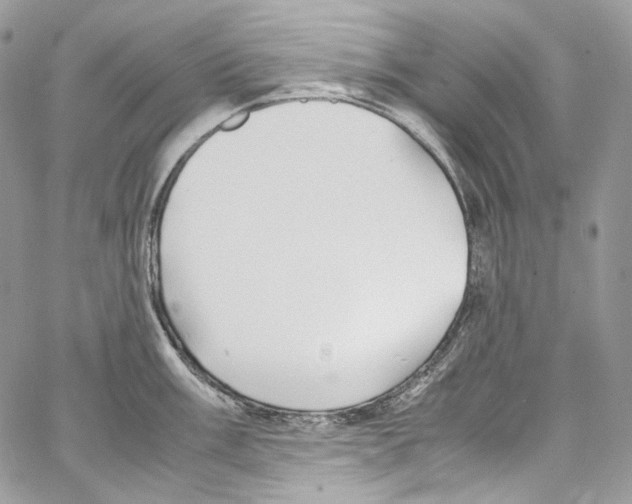 X0000067001003200604241359