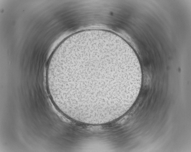 X0000067001006200604241359