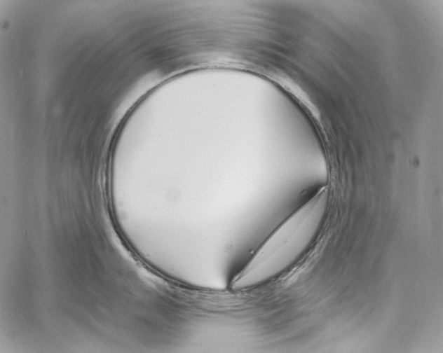 X0000067001007200604241359