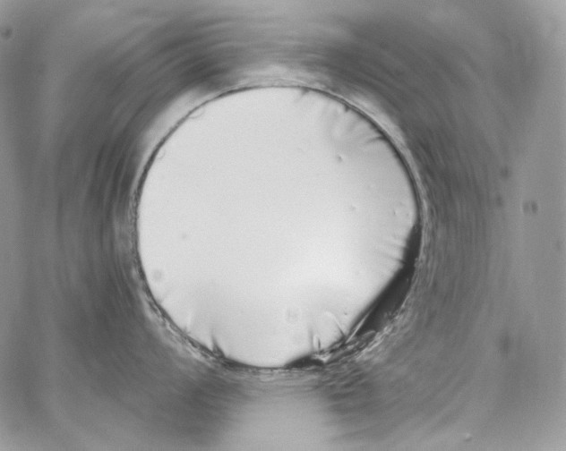 X0000067001008200604241359