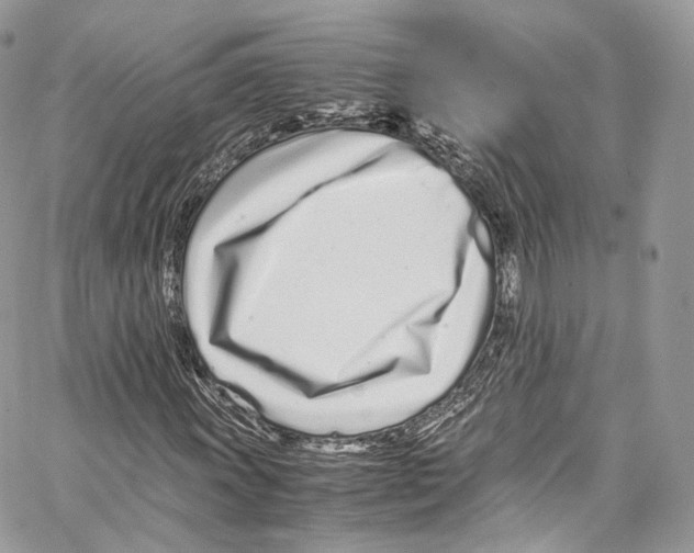 X0000067001011200604241359