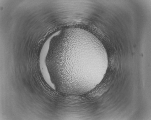 X0000067001012200604241359