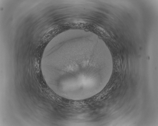 X0000067001013200604241359