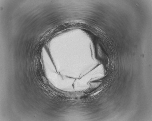 X0000067001014200604241359