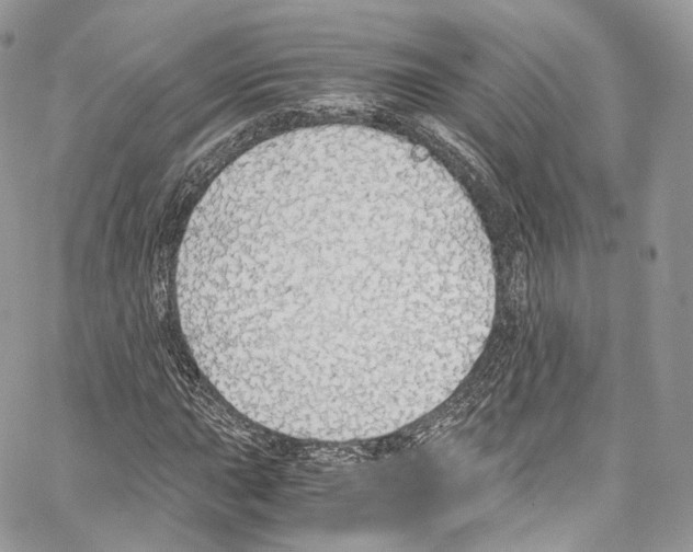 X0000067001015200604241359