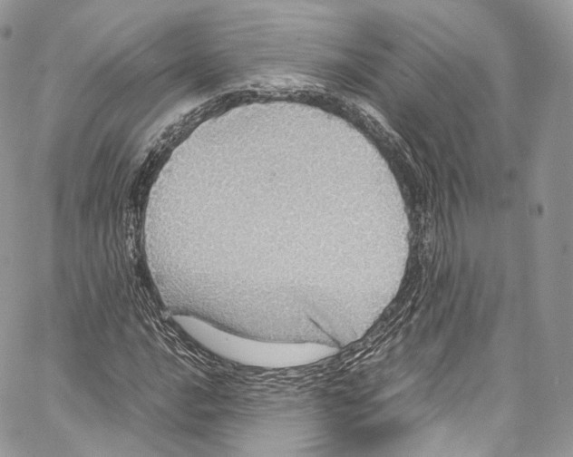 X0000067001016200604241359