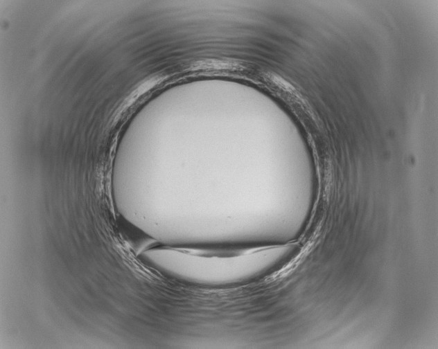 X0000067001017200604241359